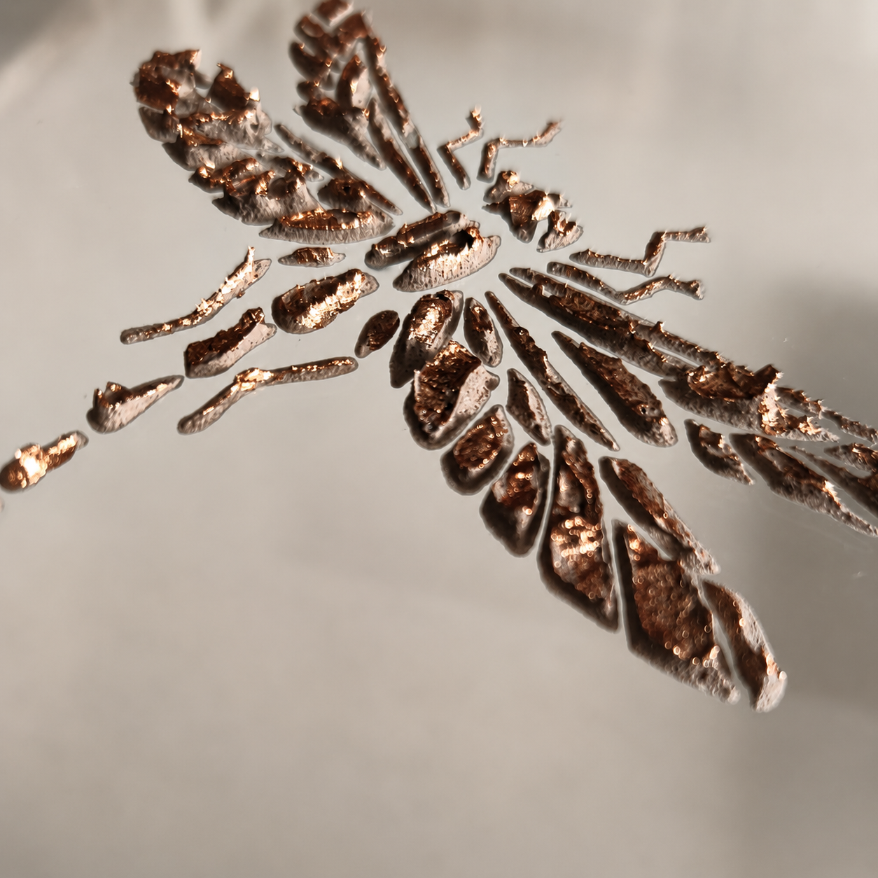 ¨Quiet Wings IV¨